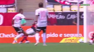 Flamengo having ass fucked by SP