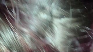 Naughty couple, redhead wife giving a blowjob.